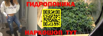 трава Гусев